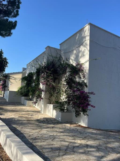 Villa Bouganville 2 Ostuni Esterno foto