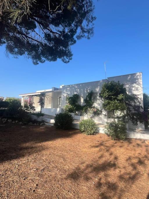 Villa Bouganville 2 Ostuni Esterno foto