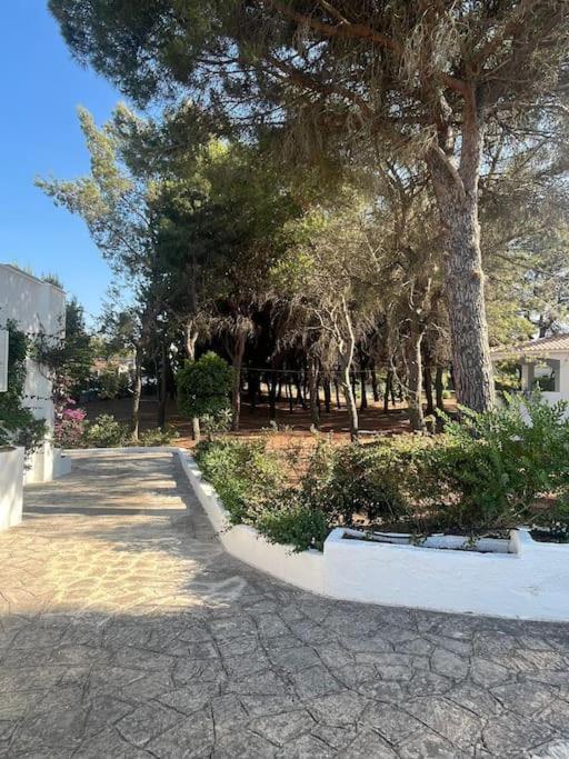 Villa Bouganville 2 Ostuni Esterno foto
